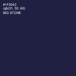 #1F2042 - Big Stone Color Image